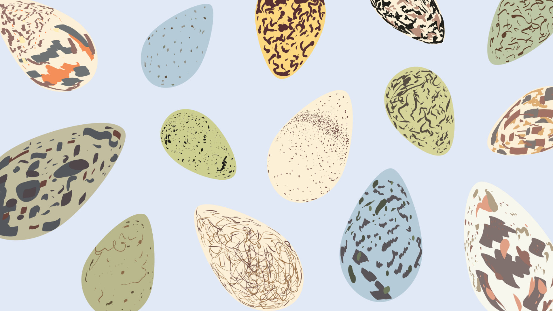 Die Eier der Trottellumme sind spitze und – wie der Meeresvogel – in Gefahr. Grafik: Louisa Schmitz / BUND