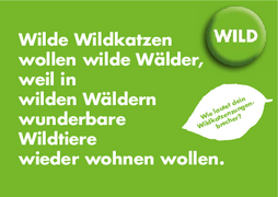 Wildkatzen Postkarte Zungenbrecher PDF