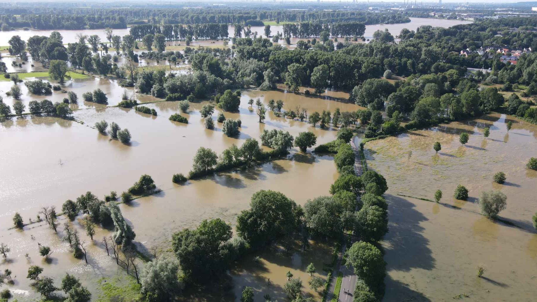 Hochwasser. Foto: Dirk Jansen / BUND NRW